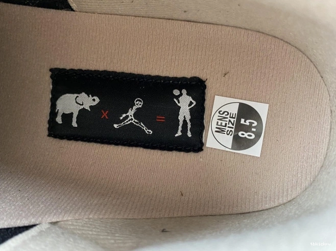 Reps TBK Elephant Desert Jordan Air CT8532-008 3 0706